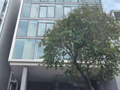 Toà nhà nguyên căn đường Nguyễn Đình Chiểu, Quận 3 Toà nhà nguyên căn đường Nguyễn Đình Chiểu, Quận 3