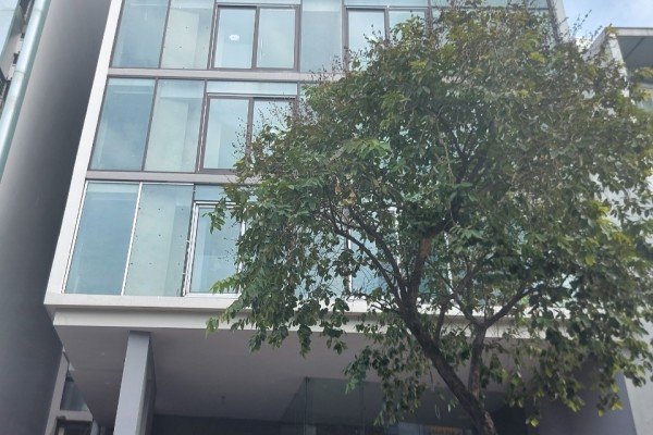Toà nhà nguyên căn đường Nguyễn Đình Chiểu, Quận 3